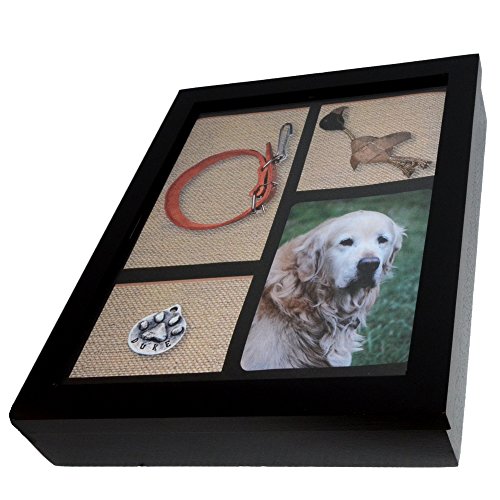 Imagine This Pet Urn Shadow Box, 9-1/2 by 12-1/2 by 2-1/4-Inch
