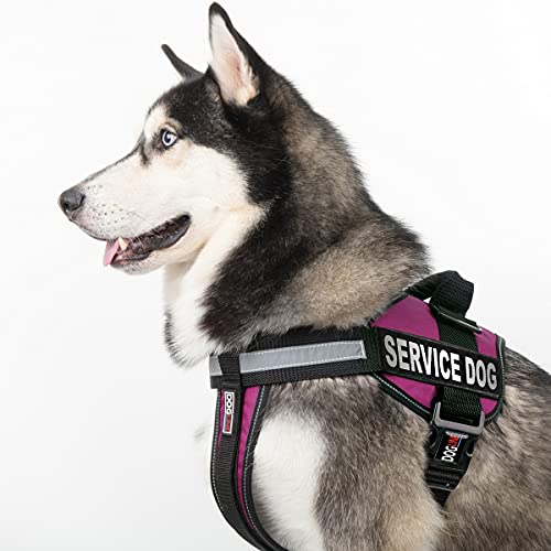 Dogline Unimax Service Dog Vest and Free Service Dog ID Badge with ADA Law, Large, Pink