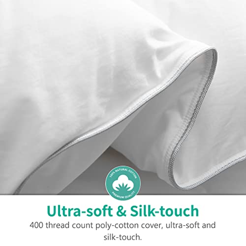 APSMILE Full/Queen Size Goose Feathers Down Comforter Duvet Insert - Ultra-Soft All Season Down Comforter Hotel Collection Comfo