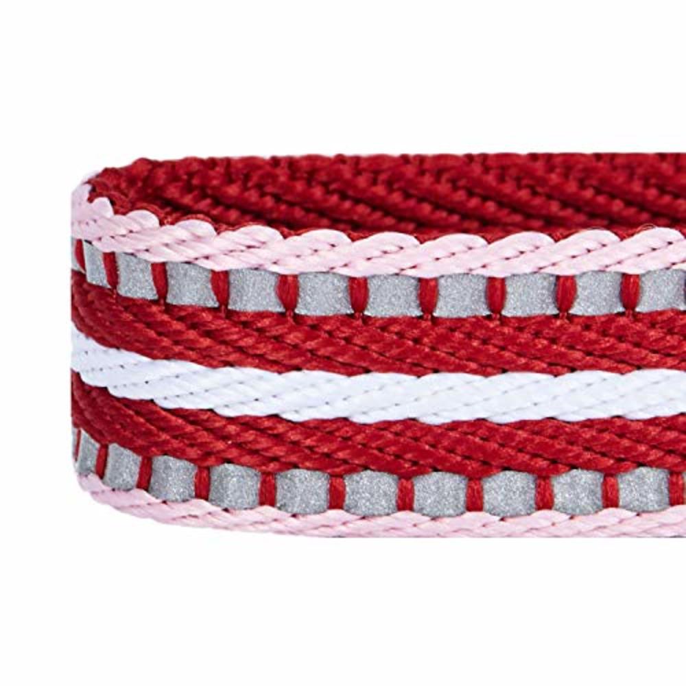 Blueberry Pet 10+ Colors 3M Reflective Multi-Colored Stripe Adjustable Dog Collar, Marsala Red and Pink, Small, Neck 12"-16"