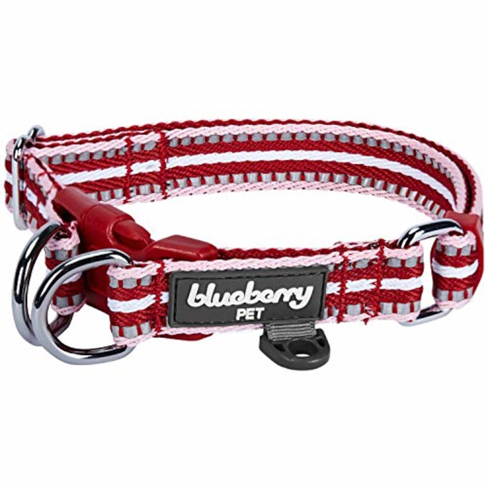 Blueberry Pet 10+ Colors 3M Reflective Multi-Colored Stripe Adjustable Dog Collar, Marsala Red and Pink, Small, Neck 12"-16"