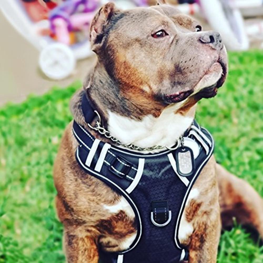 BABYLTRL Big Dog Harness No Pull Adjustable Pet Reflective Oxford Soft Vest for Large Dogs Easy Control Harness (L, Black)