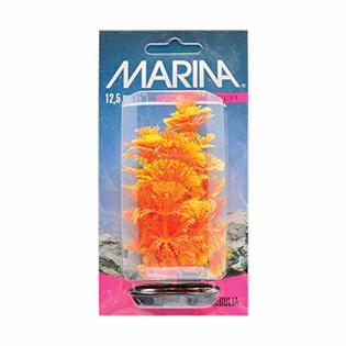 Rolf C. Hagen (USA) Corp. Marina Vibrascaper Red Ludwigia Large Plant ...