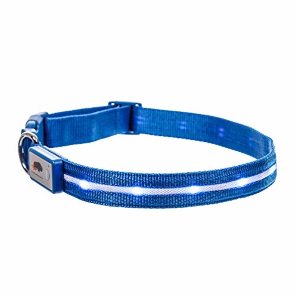 Blazin Safety LED Dog Collar – USB Rechargeable with Water Resistant Flashing Light – Medium Blue