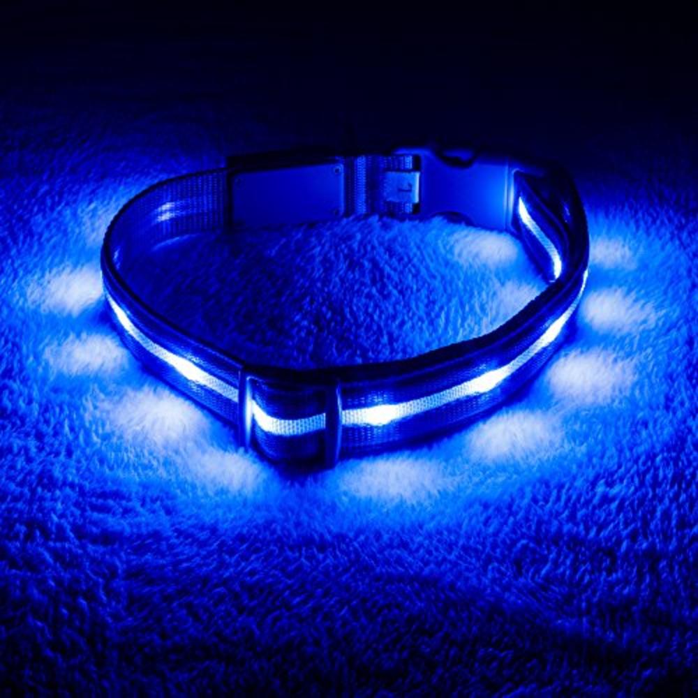 Blazin Safety LED Dog Collar – USB Rechargeable with Water Resistant Flashing Light – Medium Blue