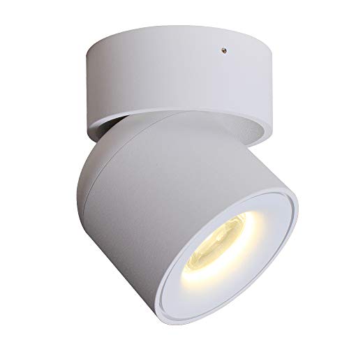 a Aisilan Aisilan Ceiling Spotlight Rotating Lamp LED Ceiling Light 3 Dimension Adjustable Minimalist White Directional Spotlight Natural 