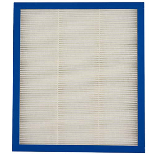 HoMedics TotalClean Replacement True HEPA Filter for use with True HEPA AP-15 and AF-10, Removes Up to 99.97% Airborne Particles