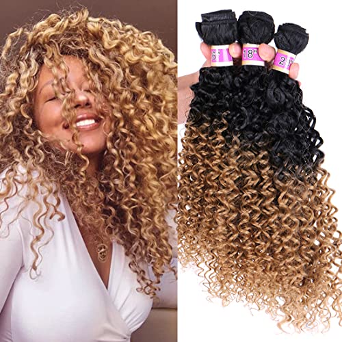 Angie Kinky Curly Synthetic Hair Weave 3 Bundles 16 18 20 Inches Black and  Blonde Ombre Colored Hair Extensions