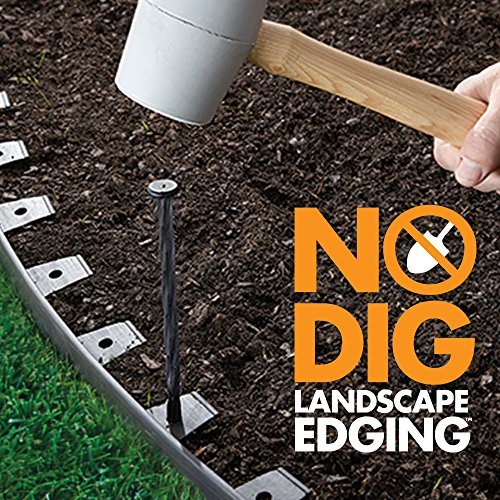 EasyFlex 3000-40C-4 No-Dig Landscape Edging Kit, 40 Foot, Black