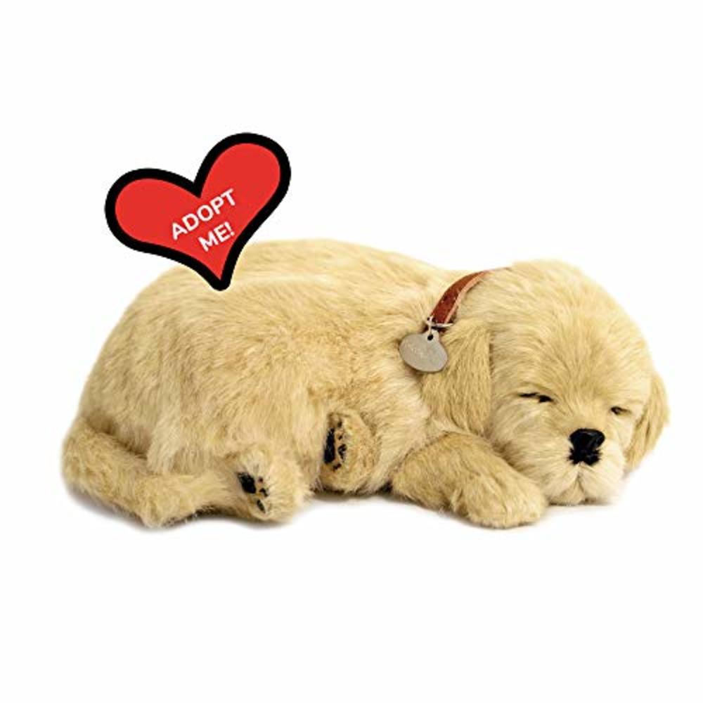 PERFECT PETZZZ Original Petzzz Golden Retriever, Realistic, Lifelike Stuffed Interactive Pet Toy, Companion Pet Dog with 100% Handcrafted Synth