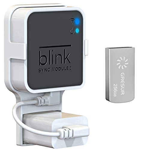 Gresur 256GB Blink USB Flash Drive for Local Video Storage with The Blink Sync Module 2 Mount (Blink Add-On Sync Module 2 is NOT Includ