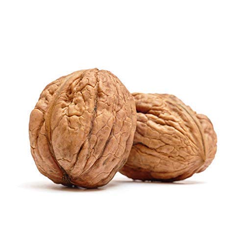 NY Spice Shop Natural Walnuts Whole  california Premium Walnuts  Raw and Unsalted Walnuts  Walnuts In Shell  Buttery Taste & Easy to crack  So