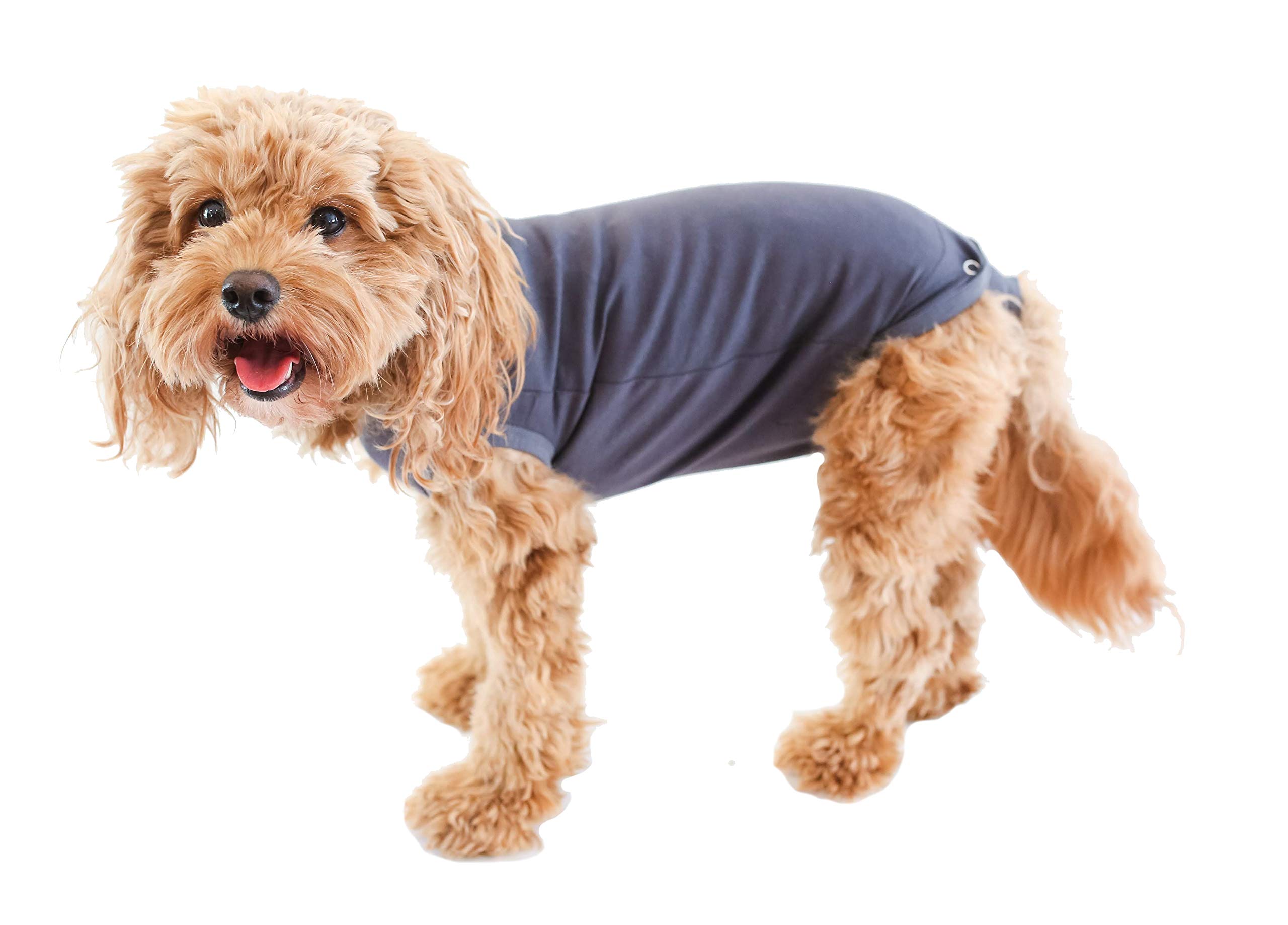 Bellyguard - After Surgery Dog Recovery Onesie Post Spay Neuter Body Suit for Male and Female Dogs comfortable cone Alternative