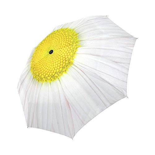 InterestPrint Daisy Windproof Auto Open and Close Foldable Umbrella,Girly Flower Travel Unbreakable Compact Sun and Rain Umbrell