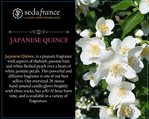 Seda France - Japanese Quince 3 Wick Candle