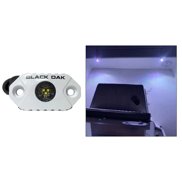 Black Oak LED Black Oak Rock Accent Light - White - White Housing