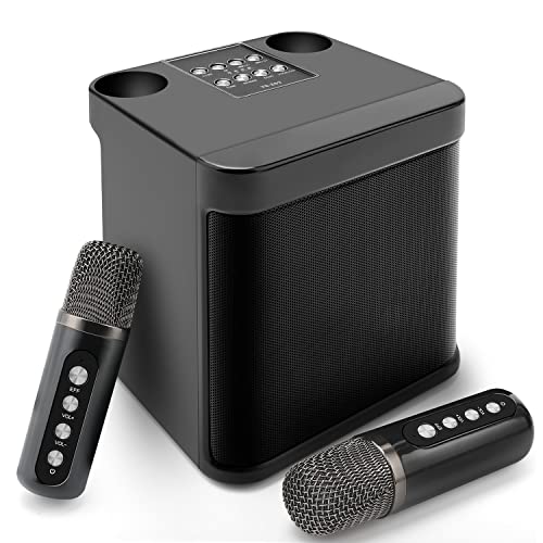YMDJL YS-203 Karaoke Machine With 2 Wireless Microphone