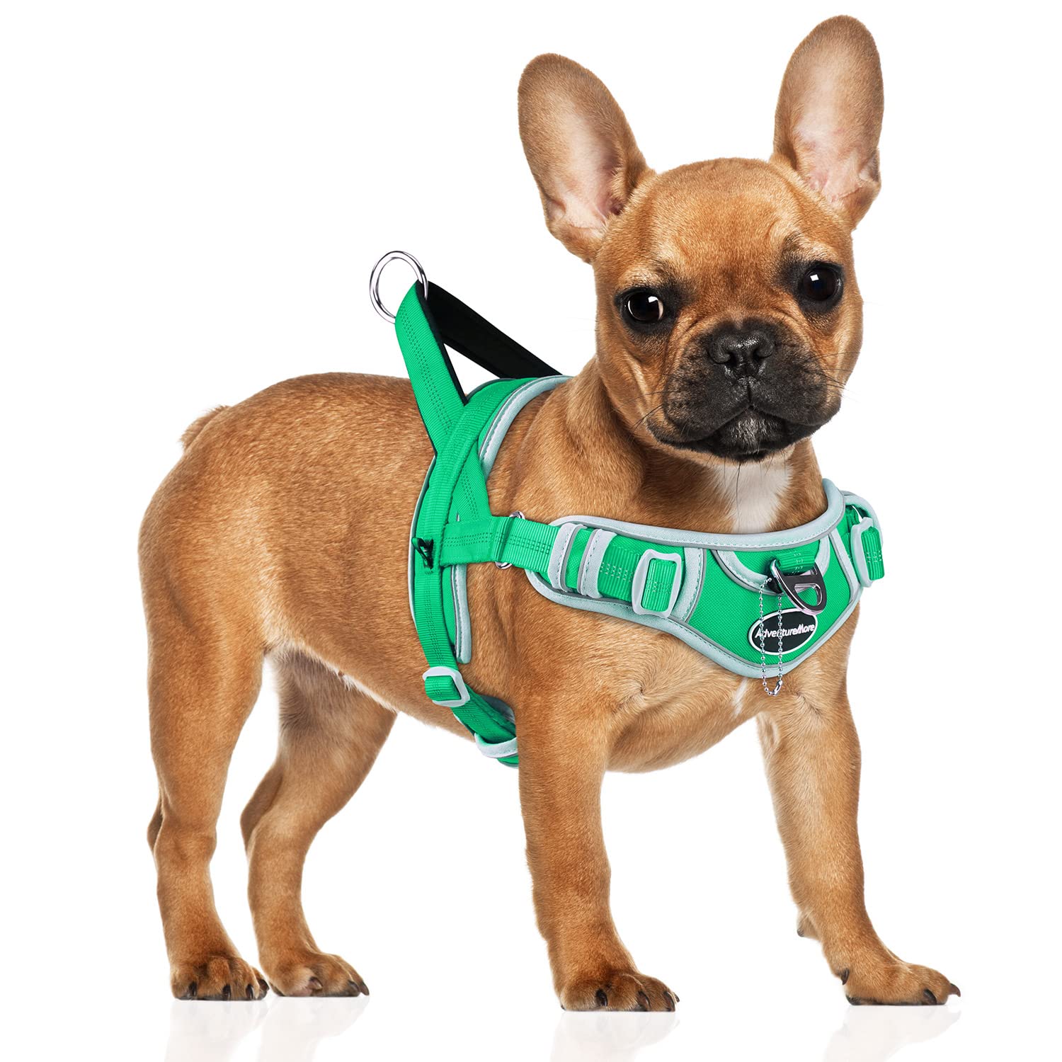 Adventuremore Dog Harness For Small Dogs No Pull, Dog Halter Harness Adjustable Reflective Dog Vest Escape Proof Dog Harness Wit