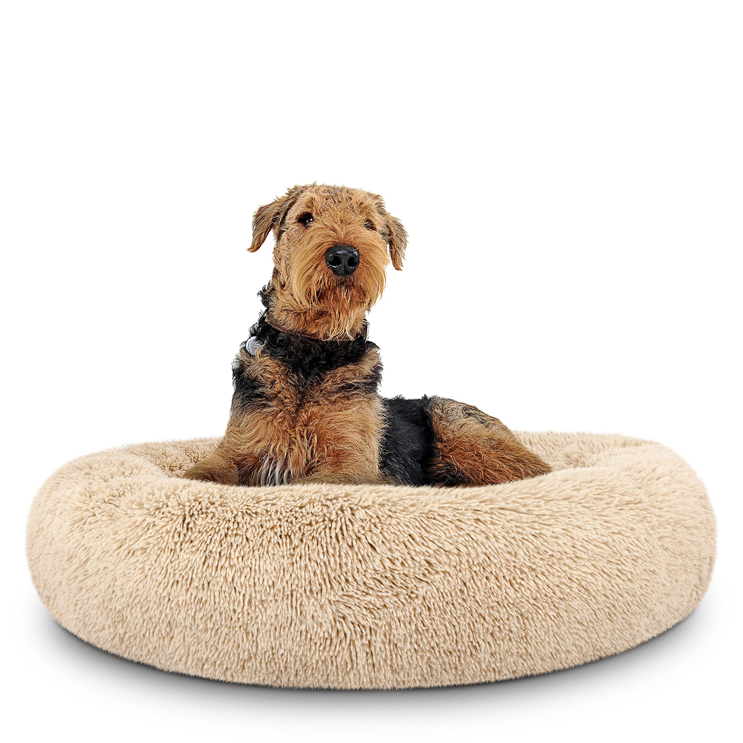 the dog\'s balls The Dogas Bed Sound Sleep Original Donut Dog Bed
