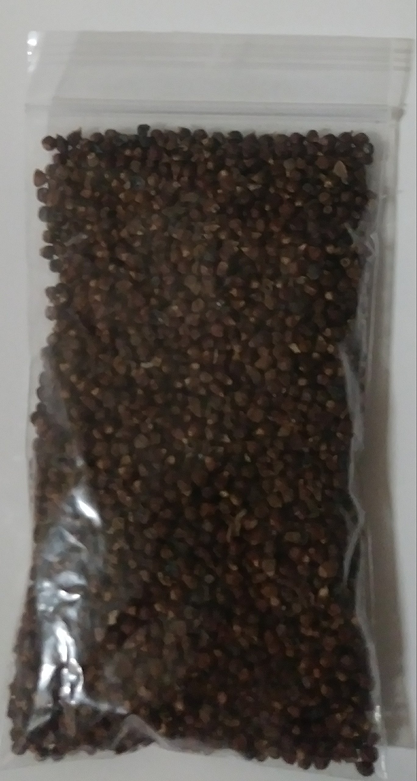 Atare de Guinea afri 2 Set Pimienta de guinea africana guinea pepper grain of paradise seeds atare genuine quality