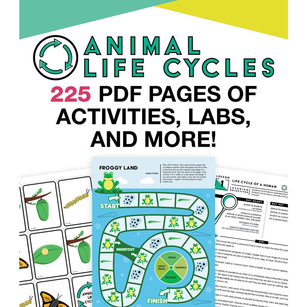 Carson Dellosa Education In A Flash Animal Life Cycle Instructional Resources-Flash Drive With Lessons, Journal, Templates, Posters, STEM Challenge, Life