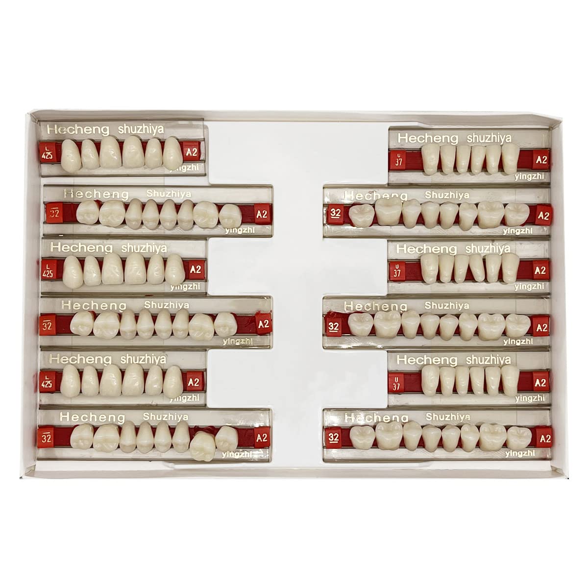 ceonam 84 Pcs False Teeth Dental complete Acrylic Resin Denture Teeth, 3 Sets Whole Teeth Synthetic Polymer Denture Tooth, 23 Shade A2 
