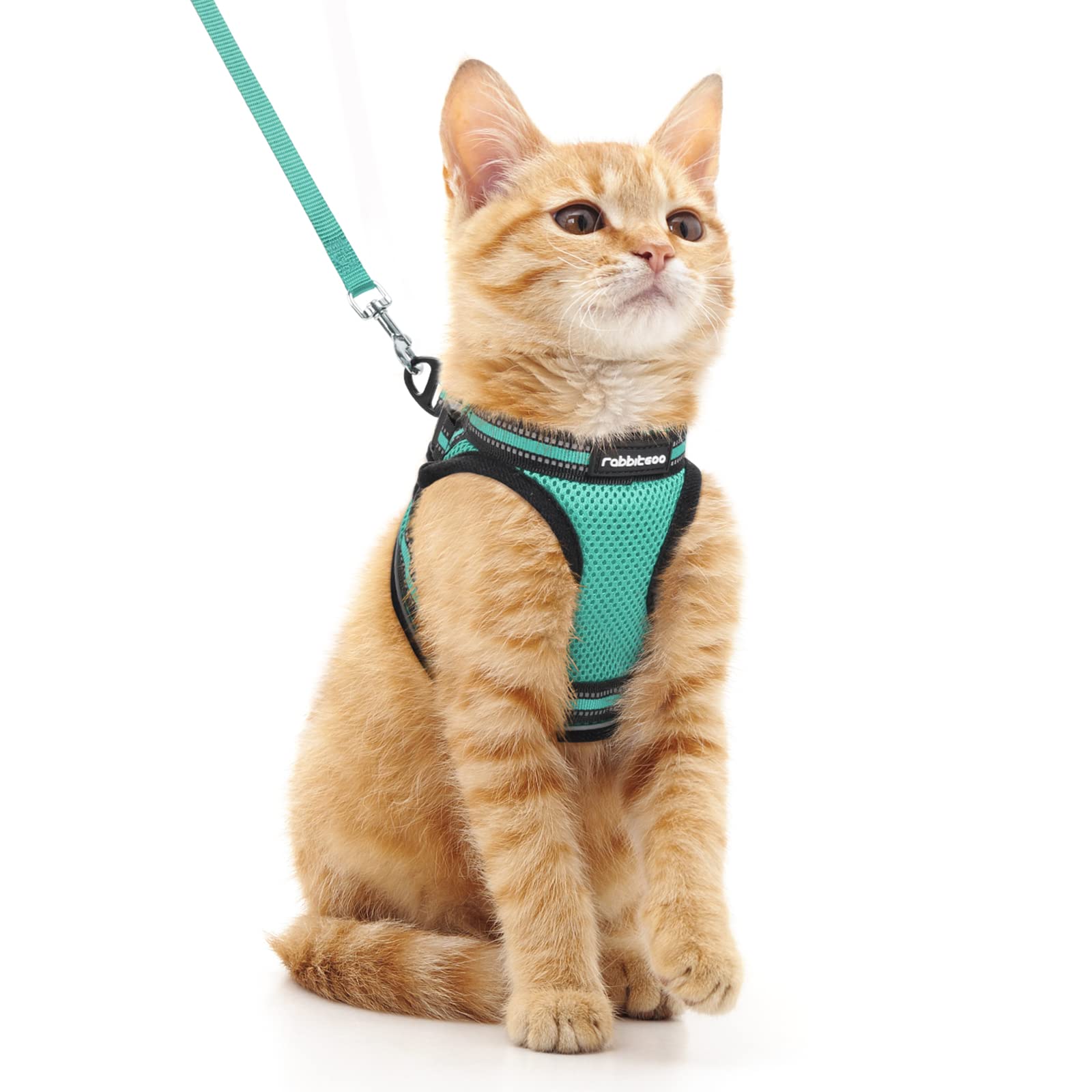 rabbitgoo cat Harness and Leash Set for Walking Escape Proof, Adjustable Soft Kittens Vest with Reflective Strip for cats, comfo