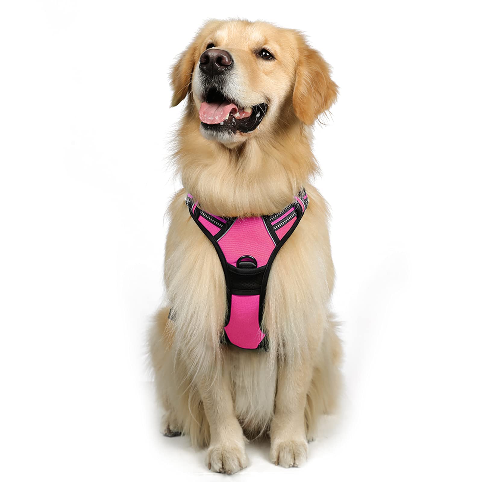 Rabbitgoo rabbitgoo Dog Harness, No-Pull Pet Harness with Leash