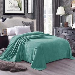 Exclusivo Mezcla King Size Flannel Fleece Velvet Plush Bed Blanket as Bedspread, coverlet, Bed cover (90x104 inches, celadon) So