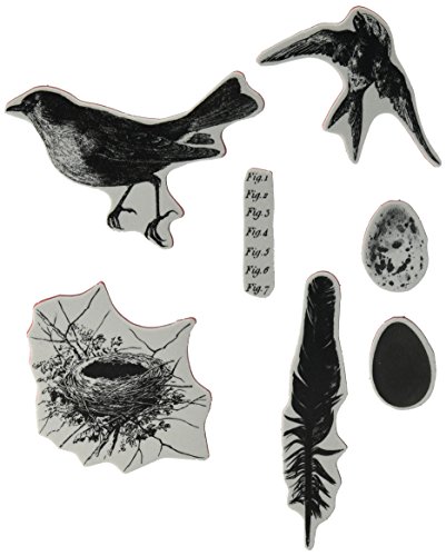 Stampers Anonymous Tim Holtz Cling Rubber Stamp Set, 7-Inch by 8.5-Inch, Bird Feather