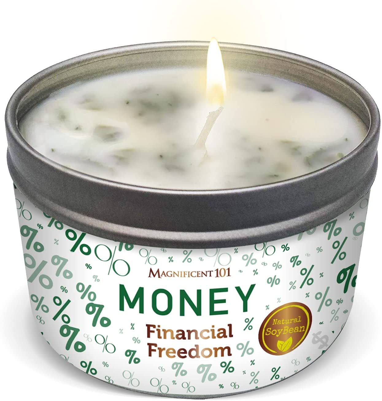 MAGNIFICENT 101 Money Financial Freedom Aromatherapy Candle - Clove, Cinnamon, Citronella Scented Natural Soybean Wax Tin Candle