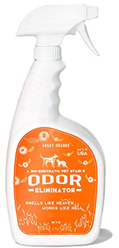 ANGRY ORANGE Enzyme Cleaner & Pet Stain Remover Spray - 32oz Pet Odor Eliminator for Home, Carpet, and Floor - Cat and Dog Urine