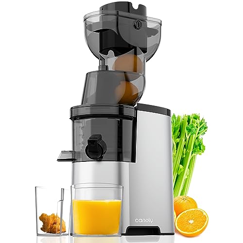 canoly Masticating Juicer Machines, 300W 3.5-inch (88mm) Slow Cold Press Juicer with Large Feed Chute, Electric Masticating Juicers for