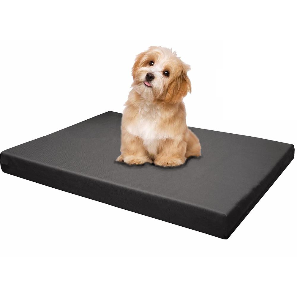 Illustration of Comfortable Dog Crate Mattresses For Joint Pain