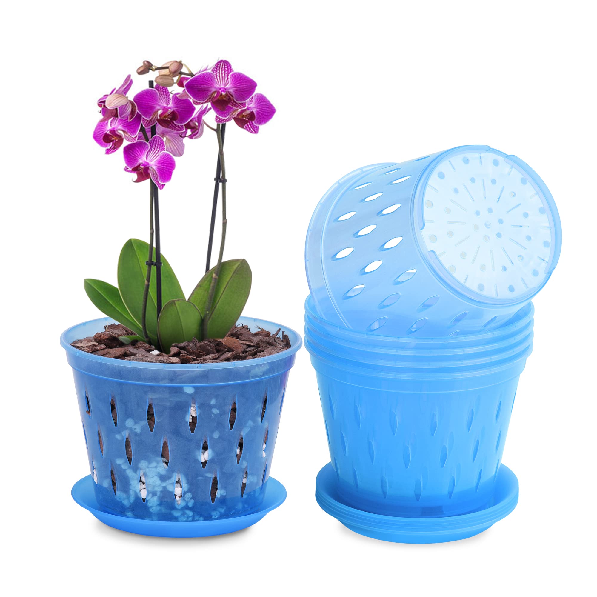 Kitypartsy Orchid Pot 5 Inch 6 Pack Orchid Pots with Holes and Saucers  Clear Plastic Orchid PotsBlue Sapphire