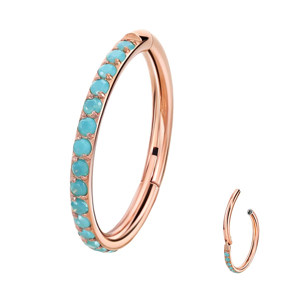 TDEBA 7mm 16G Conch Piercing Jewelry 316L Surgical Steel Segment