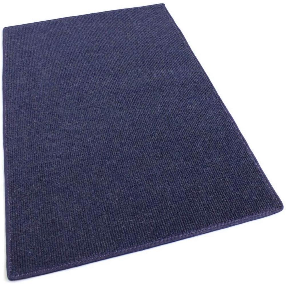Pool Runner Rug Koeckritz Rugs Cadet Blue Red Indoor/Outdoor Carpet Patio & Pool Area ...
