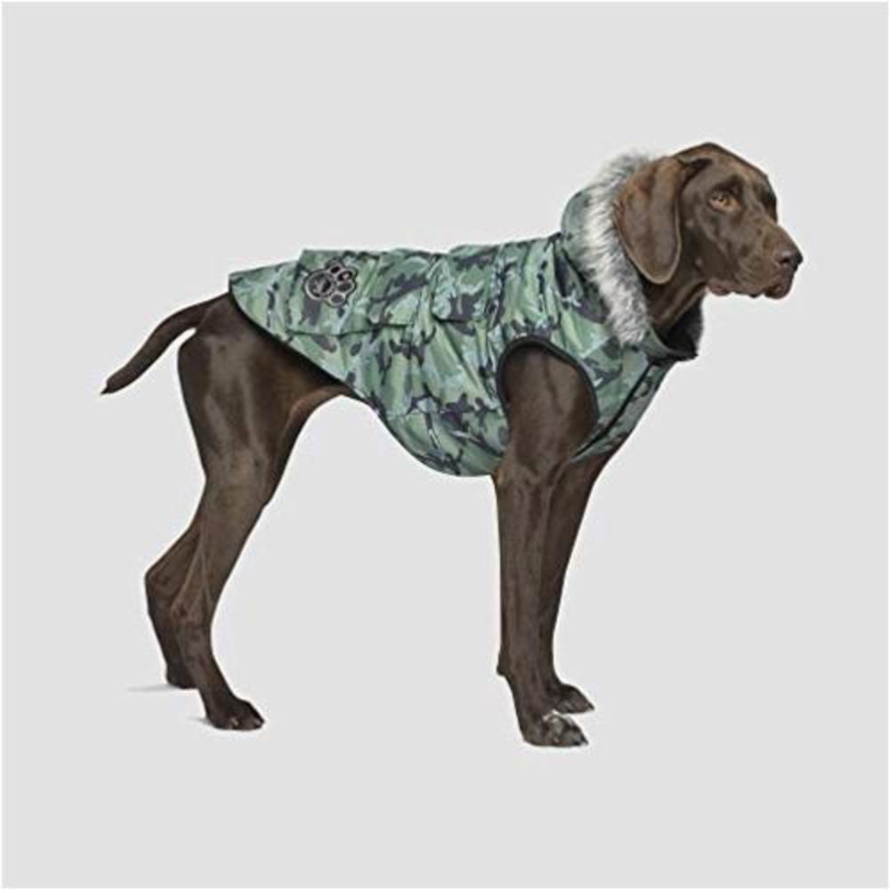 Canada Pooch Everest Explorer Dog Jacket Hooded Winter Green
