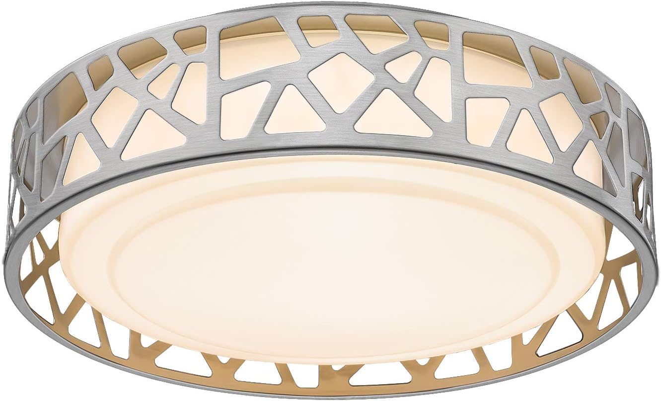 Vicnie Flush Mount Light Fixtures, 12 Inch Dimmable LED ...