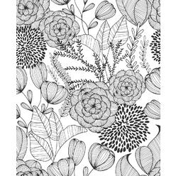 Brewster NuWallpaper NUS3501 Black Secret Garden Wallpaper