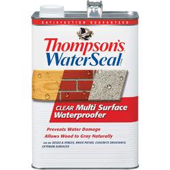 The Thompson's Company Thompsons Water Seal 24101 Clear Multi-Surface Waterproofer, 1-Gallon