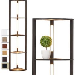 Fenlo Fancy Edge - Luxury LED Corner Display Shelves with 3-in-1 Dimmable Technology, Dimmable Floor Lamp with Shelves, Modern Displa