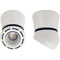 YU MEIL LED COB Adjustable Ceiling Spot Light Directional Spot Light Surface Mount Wall Light 12W Aluminum Spot Light for Wall Light Co