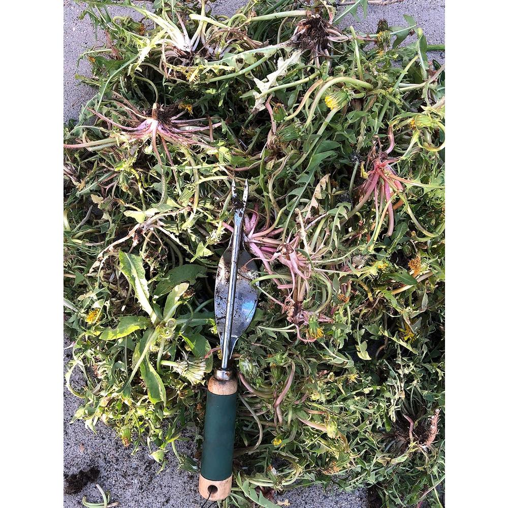 Edward Tools Weeding Tool - Leverage Metal Base Creates Perfect Angle for Easy Weed Removal and Deeper Digging - Sharp V Nose Digs deep to R