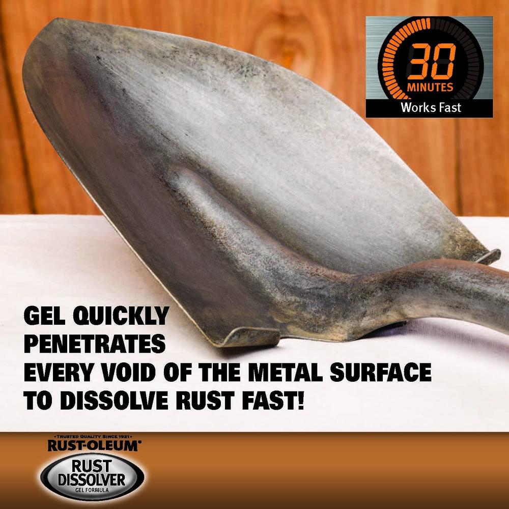 Rust-Oleum 300112-6PK Rust Dissolver, 32 oz (6 Pack)