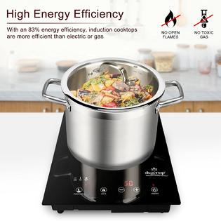 DUXTOP BT-200TI Built-in Countertop Burner, Portable Induction Cooktop,  Sensor Touch Induction Burner, 170-Minute Timer, Safety Lock, 1800W BT
