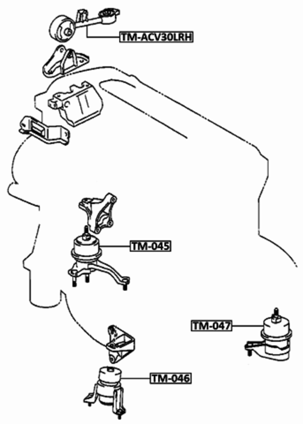 Febest 2006 Toyota Camry Engine Mount Febest Tm 045 Oem