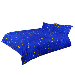 Unique Bargains Blue Moon Star Pattern Duvet Cover Pillowcase