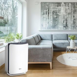 1022 0221 00 Winix D480 3 Stage True HEPA Air Purifier