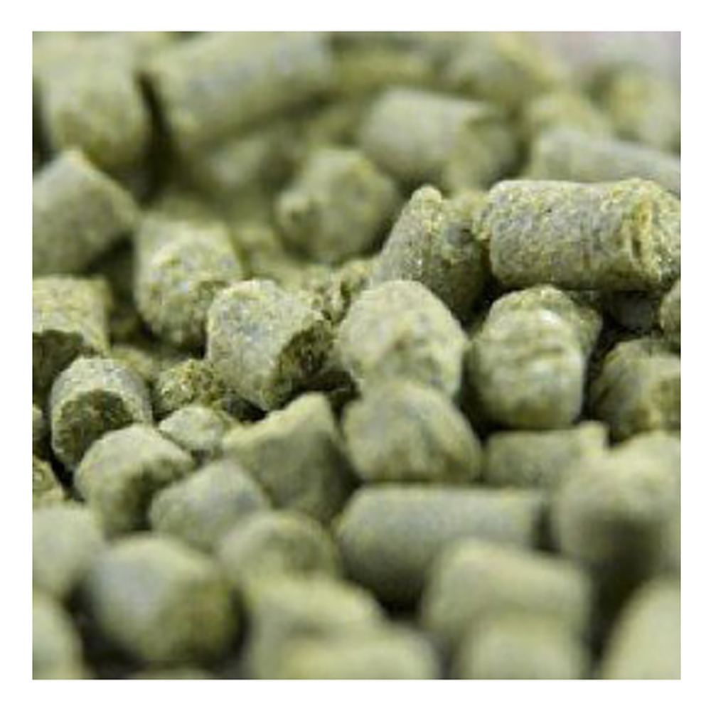 YCH Hops UK Target, One - 1 Ounce Package Of Hop Pellets